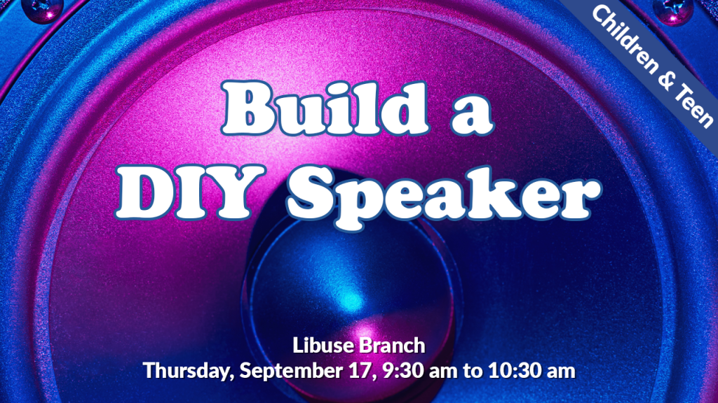lb_buildadiyspeaker